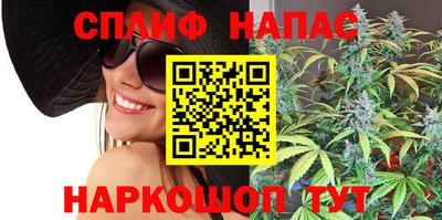 МДПВ Заводоуковск