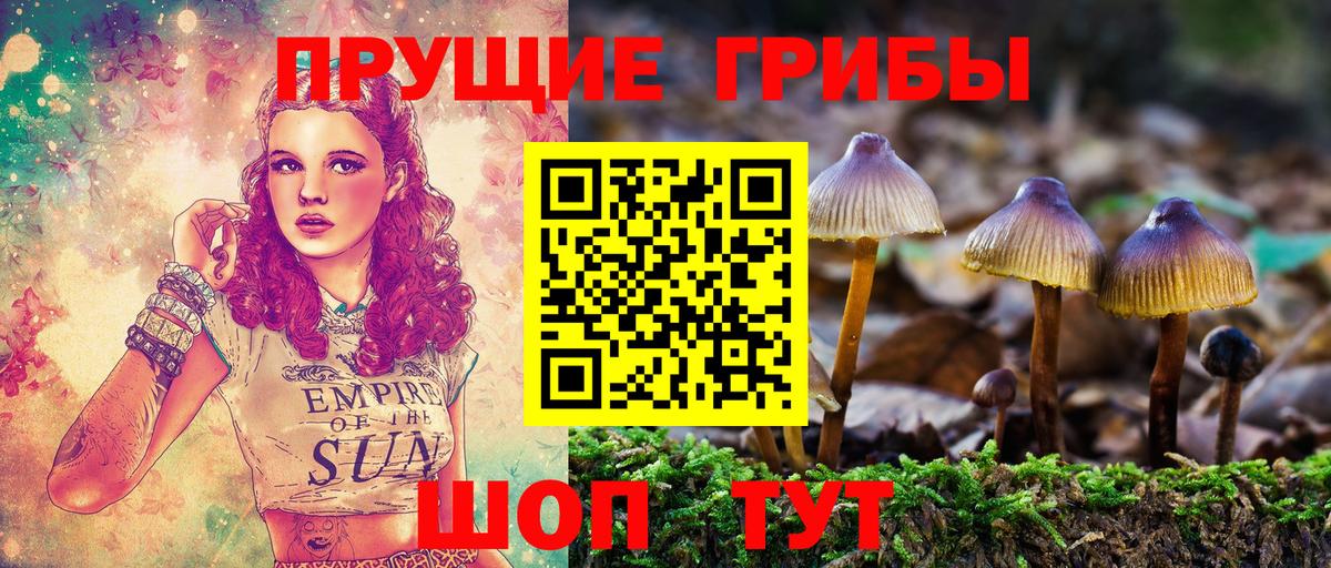 Псилоцибиновые грибы Psilocybe  Вход с VPN  Минусинск 