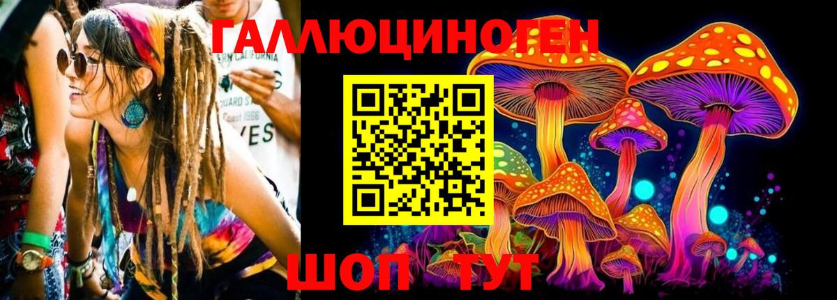 Псилоцибиновые грибы GOLDEN TEACHER Минусинск